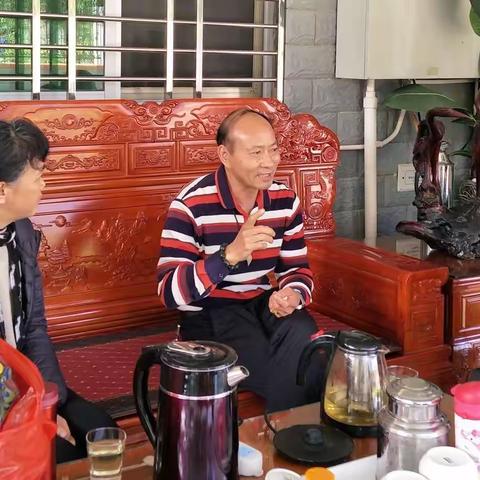 海南加钗控股公司主要工作周报 第11期（1月29日-2月6日）