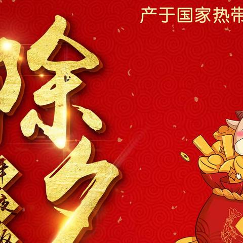 拜年啦！海南加钗投资控股发展有限责任公司给大家拜年啦！