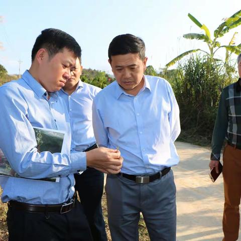 县委书记徐斌深入加钗控公司新伟茶厂调研茶叶生产销售情况
