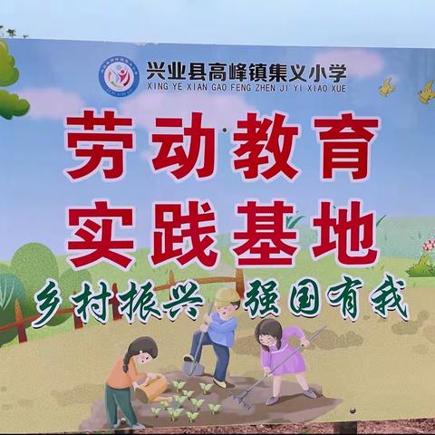 五年级劳动教育实践活动