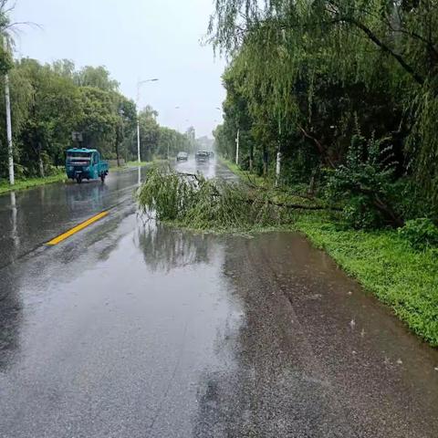 高邮公路：抗击暴雨  全力保畅