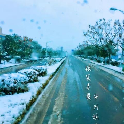 雪地中升起的“太阳”