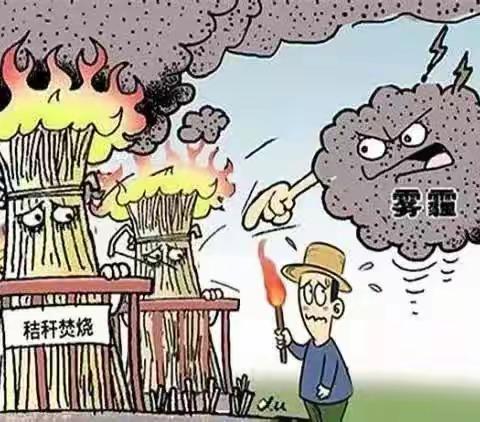 【文明乡镇创建】禁止秸秆焚烧，切勿以身试法！