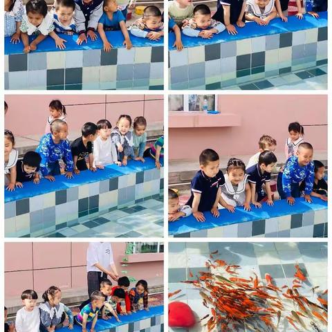 “激情六月，欢乐童年”--十幼小七班