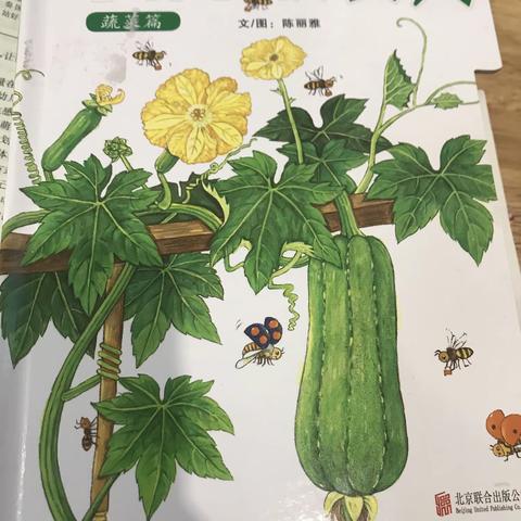 大六班 绘本《小种子，快长大》