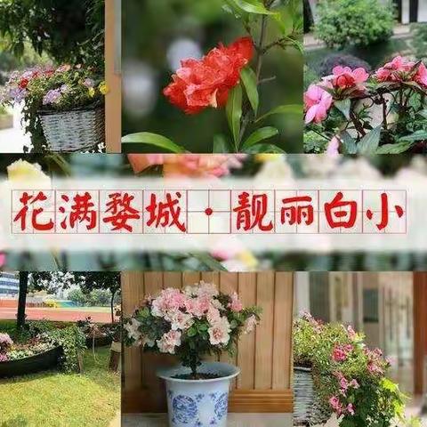 隐患排查，给龙娃们最平安的校园——白龙桥小学开展开学复课前校园隐患排查