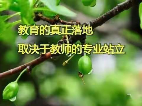 “学习二十大 奋进新征程”——汭丰镇学区之素养篇(五)