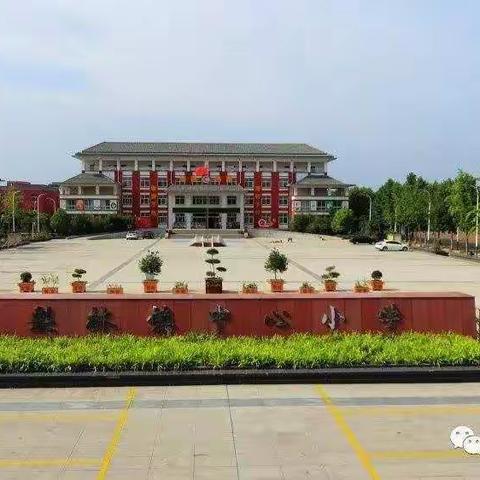 在路上——梨林镇中心小学赵俊俊的成长故事