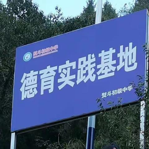 在劳动中成长，在快乐中收获-熨斗中学八二班劳动实践活动