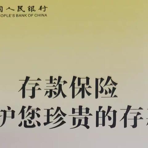 泗阳支行积极开展存款保险宣传活动