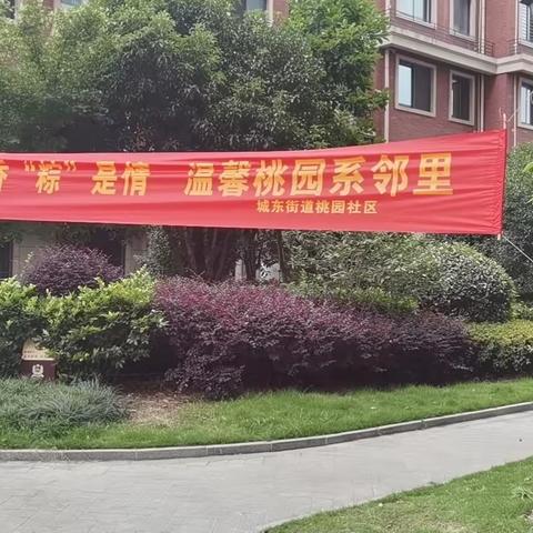 端午飘香“粽”是情，温馨桃园系邻里