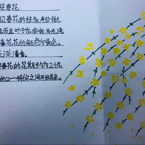一剪梅的美篇