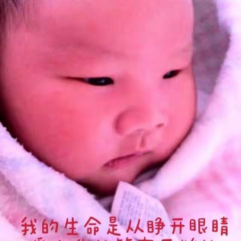 文化小学二(11)班陈芃宇献上三八节最真挚的祝福，送给最爱的妈妈！