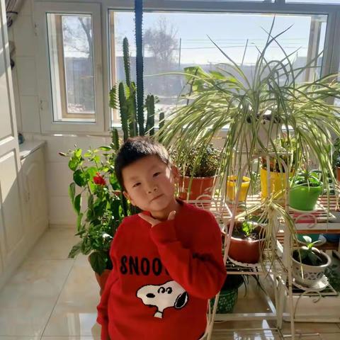 精彩寒假     快乐成长