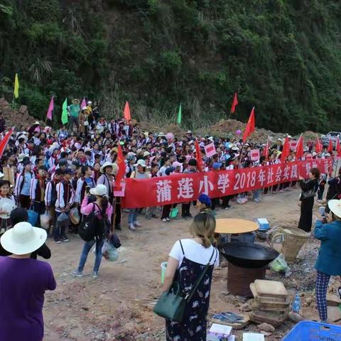 我和春天有个约定――蒲莲小学社会实践活动