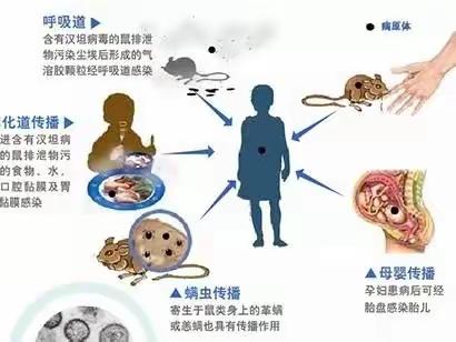 流行性出血热防治宣传——子午街道中心幼儿园