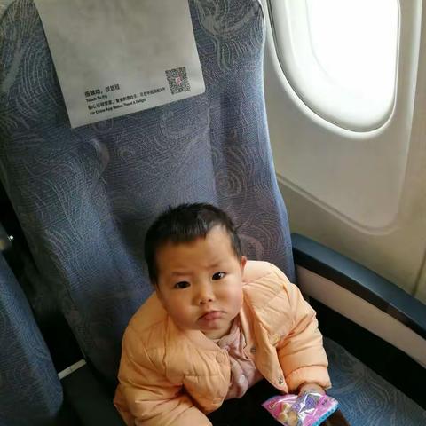 远赴千里找妈妈