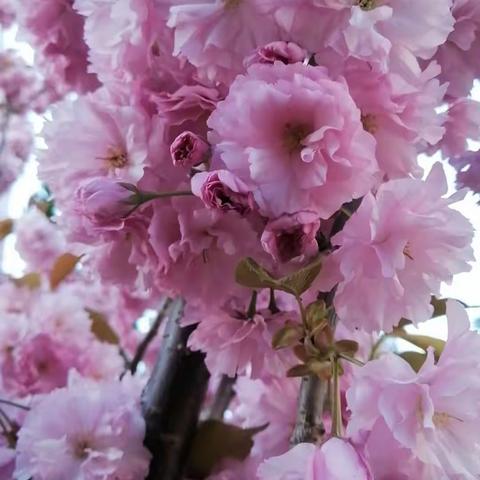 “银龄颂党恩·奋进新征程”——国网牡丹江水力发电总厂离退休职工书画、摄影作品展览（二）