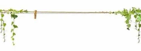 “银龄颂党恩·奋进新征程”——国网牡丹江水力发电总厂离退休职工书画、摄影作品展览（三）