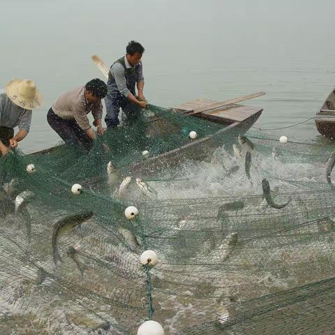 天河堰----杨其愚《拙樵集》温馨记忆篇