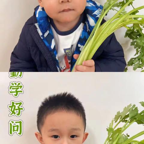 🌸心如花木 向阳而生——遇见更好的自己 “小诸葛幼儿园小三班”