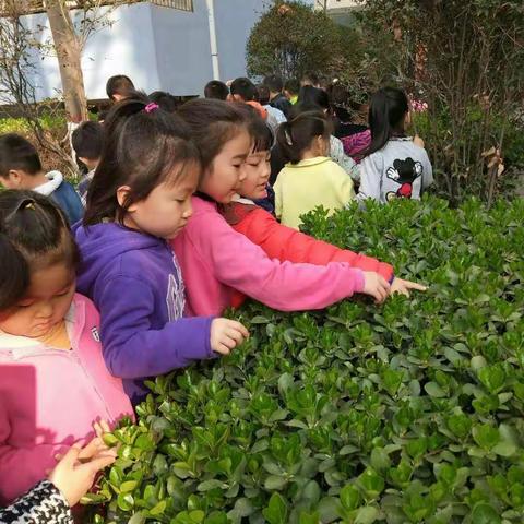 幼专附属幼儿园大四班——春天在哪里