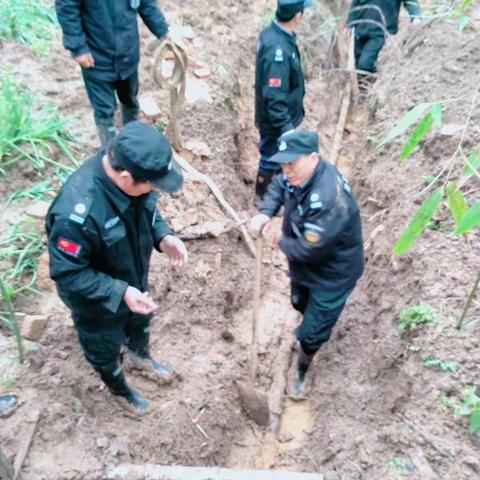 上河嘉园抢修地下电缆，竭尽全力恢复正常供电——辛苦浩远人