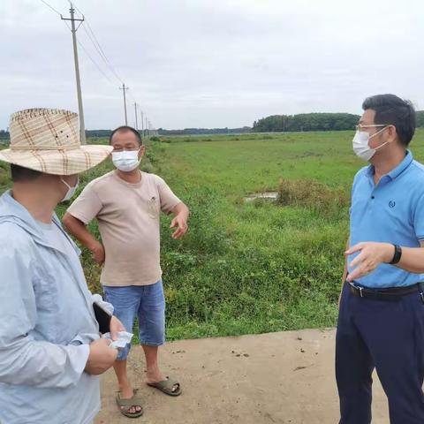农科公司防疫简报（8月17日））