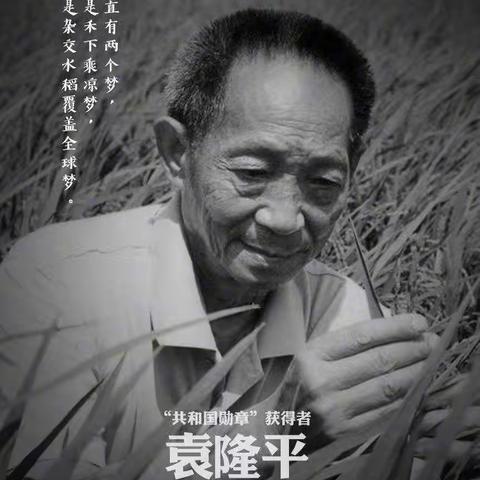 记袁隆平爷爷
