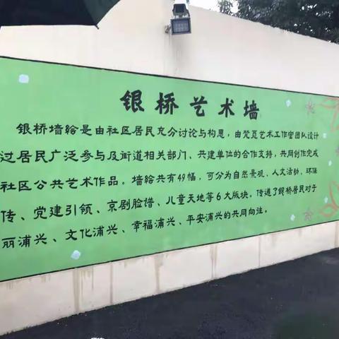 银桥社区居民自治，绿色植物墙