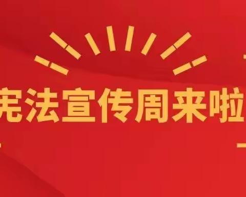 【普法进行时】宁安镇红苑社区多形式开展“宪法进万家”主题活动