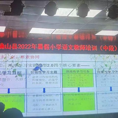 【第二组】大单元教学设计，深度学习