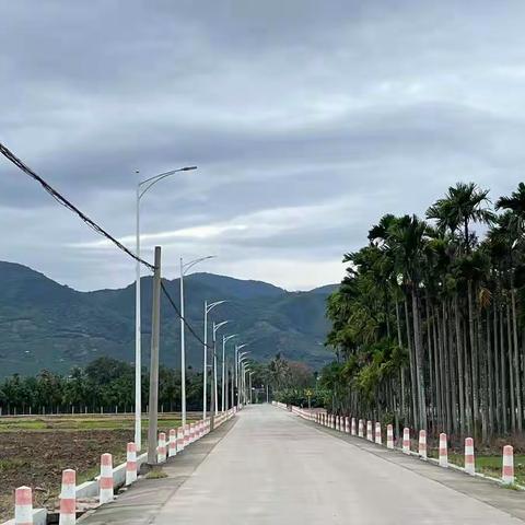 三公里村主干道顺利完成路灯铺设工作