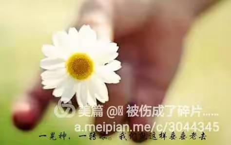 珍惜吧，活着活着就老了……