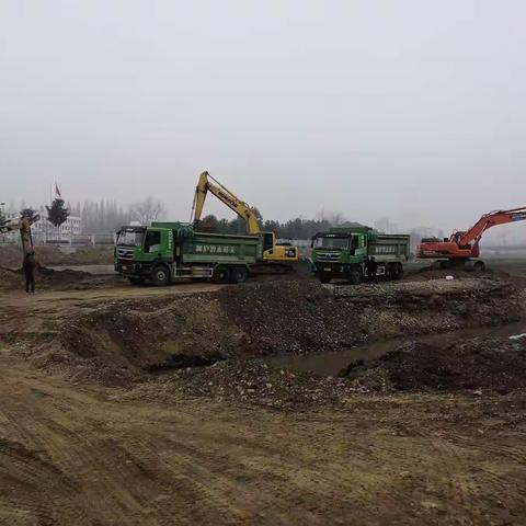 县领导胡传华现场督导陶家河河道清淤疏浚工作