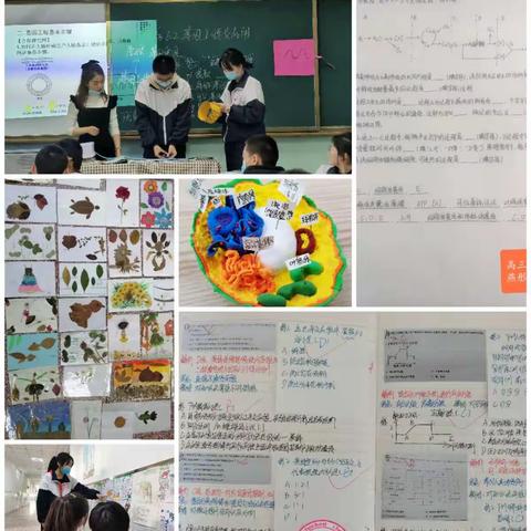 笃学善思，力行致远——乌鲁木齐市第54中学生物组教科研月活动总结