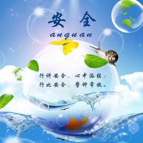 辛庄小学2019年春季运动会—安全篇