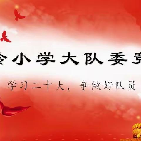 学习二十大，争做好队员——张岭小学少先队大队委竞选仪式