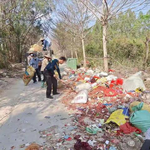 打造优越环境  助力创卫工作