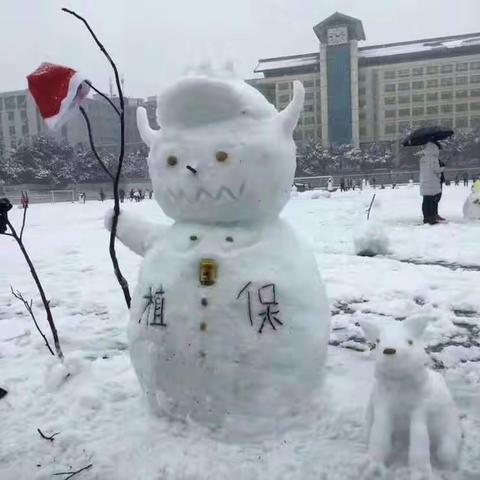 雪人⛄️出来啦啦啦