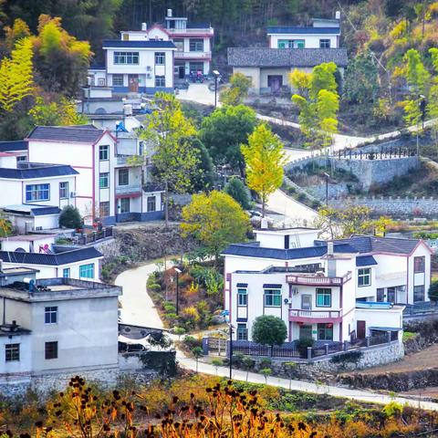 叶家圈创建省级生态村有特色亮点