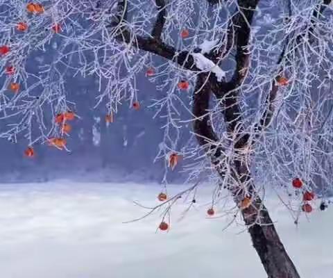 冰雪天地有情有趣