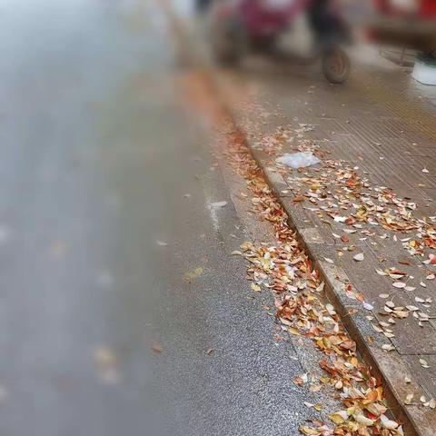 一条路两个走向