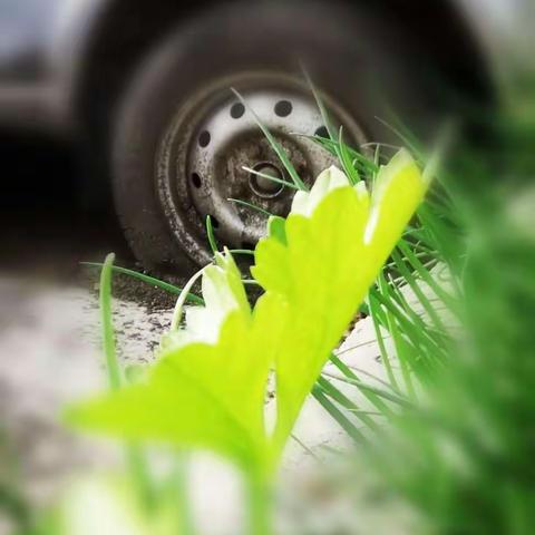 【24节气，清明】我就烧真钱，一烧几百亿