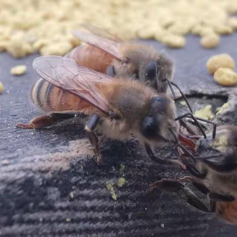 当被机器人抱上绣踏