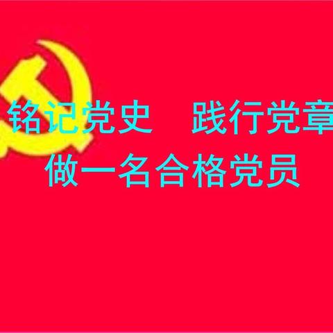 衡阳市船山英文学校幼儿园党支部“学党章、学党史、忆初心、担使命”主题党日