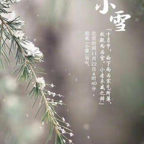 司幼中五班•《二十四节气•小雪》