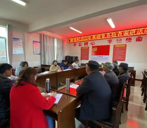 团街镇开展基层党建工作专项检查和 调研活动