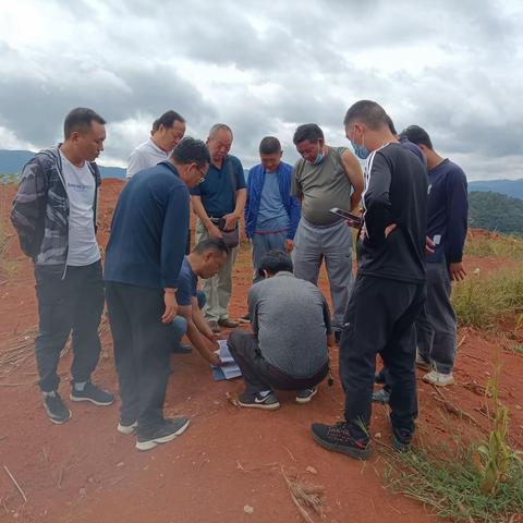 乡镇“吹哨” 部门“报到”——团街镇召开高家黄牛养殖基地项目建设现场推进会