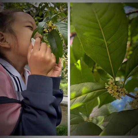 国庆，我和秋天有个约会